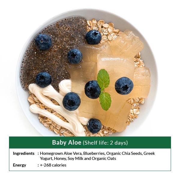 Oatsome 5 (Oatmeal Trial Set)